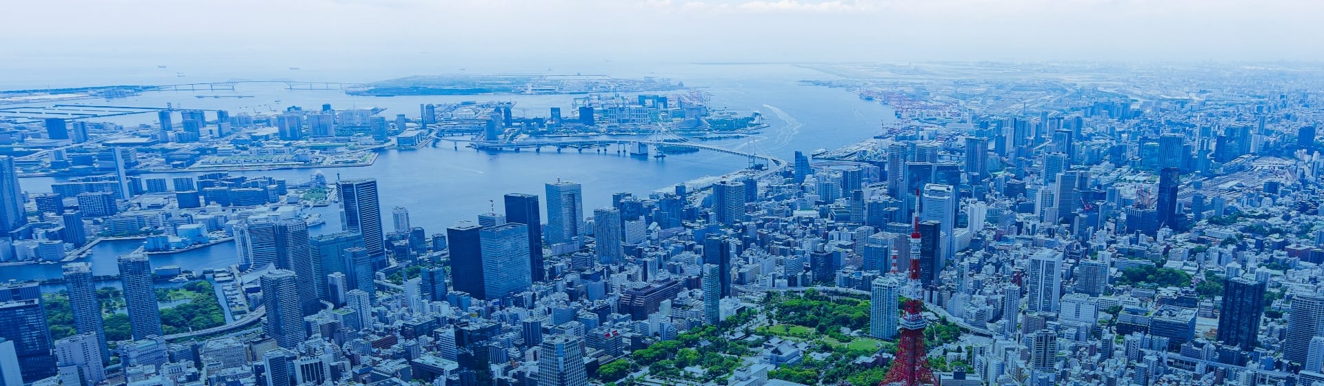 企業情報 Company